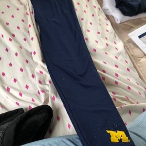 🥜Zoozats U of M leggings